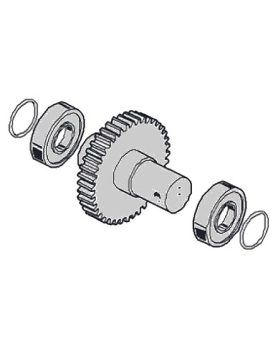 Моторедуктор G2081 G2081I Came 119RIG197 в Миассе Запчасти для шлагбаумов и автоматики Pintop.ru