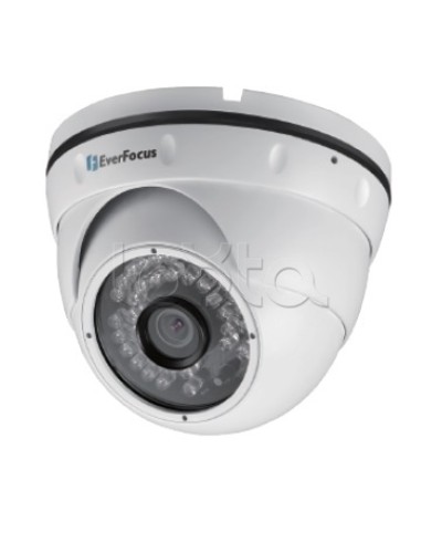 IP-камера видеонаблюдения уличная купольная EverFocus EBN-268 в Миассе IP-камеры Pintop.ru