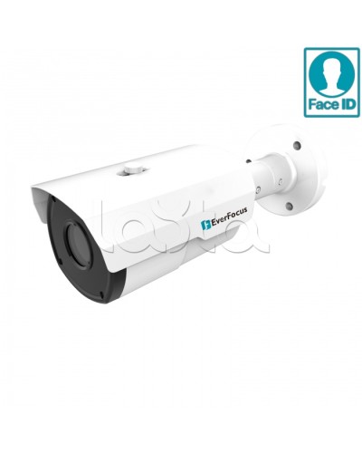 IP-камера видеонаблюдения в стандартном исполнении EverFocus EZN-2850 в Миассе IP-камеры Pintop.ru