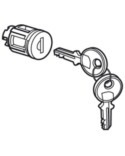 Цилиндр встроенный под ключ №405 Legrand 020291 в Миассе Дополнительное оборудование для сетей Pintop.ru