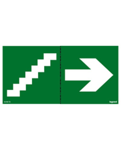 Пиктограмма 100х200 лестница стрелка Legrand 661672 в Миассе Дополнительное оборудование для ОПС Pintop.ru